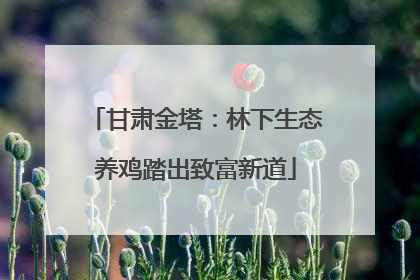 甘肃金塔：林下生态养鸡踏出致富新道