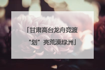 甘肃高台龙舟竞渡“划”亮荒漠绿洲