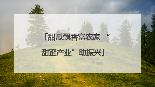 甜瓜飘香富农家 “甜蜜产业”助振兴