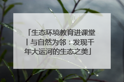 生态环境教育进课堂丨与自然为邻：发现千年大运河的生态之美