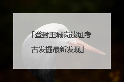 登封王城岗遗址考古发掘最新发现