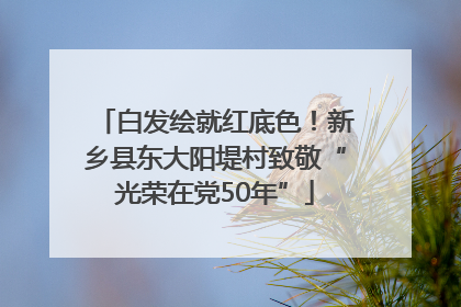 白发绘就红底色！新乡县东大阳堤村致敬“光荣在党50年”