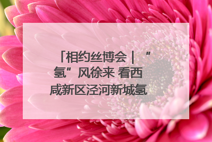 相约丝博会｜“氢”风徐来 看西咸新区泾河新城氢能产业聚链成势