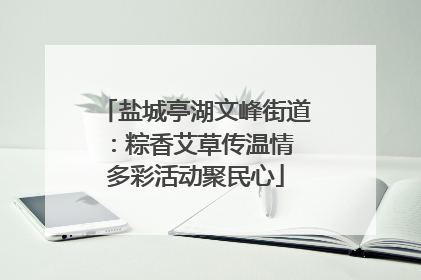 盐城亭湖文峰街道：粽香艾草传温情 多彩活动聚民心