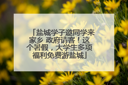 盐城学子邀同学来家乡 政府请客！这个暑假，大学生多项福利免费游盐城