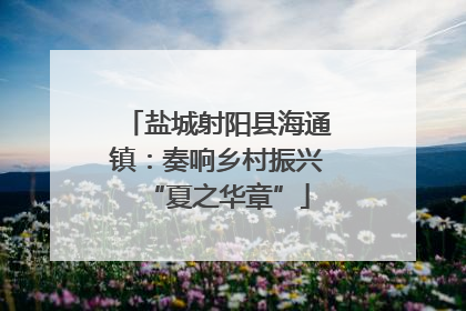 盐城射阳县海通镇：奏响乡村振兴“夏之华章”