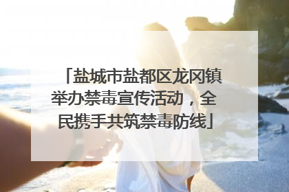 盐城市盐都区龙冈镇举办禁毒宣传活动，全民携手共筑禁毒防线