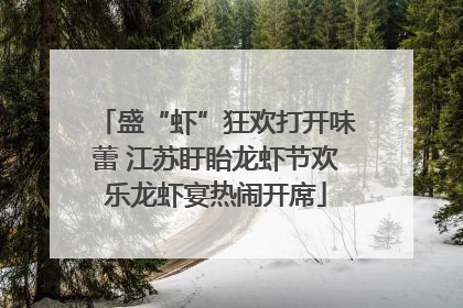 盛“虾”狂欢打开味蕾 江苏盱眙龙虾节欢乐龙虾宴热闹开席