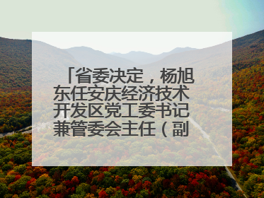 省委决定，杨旭东任安庆经济技术开发区党工委书记兼管委会主任（副厅级）