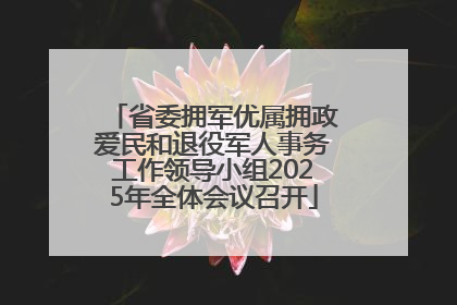 省委拥军优属拥政爱民和退役军人事务工作领导小组2025年全体会议召开