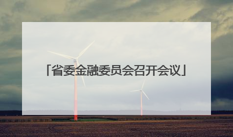省委金融委员会召开会议