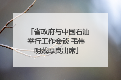 省政府与中国石油举行工作会谈 毛伟明戴厚良出席