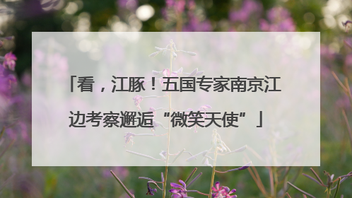 看，江豚！五国专家南京江边考察邂逅“微笑天使”