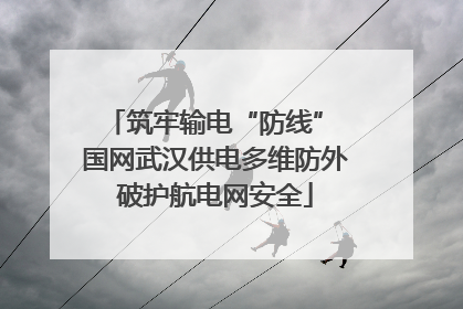 筑牢输电“防线” 国网武汉供电多维防外破护航电网安全