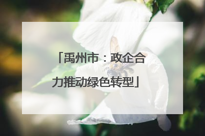 禹州市：政企合力推动绿色转型