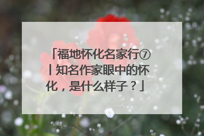 福地怀化名家行⑦丨知名作家眼中的怀化，是什么样子？