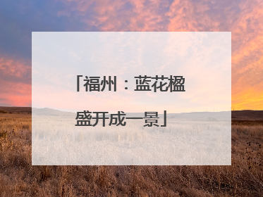 福州：蓝花楹盛开成一景