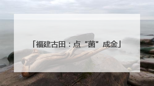 福建古田：点“菌”成金