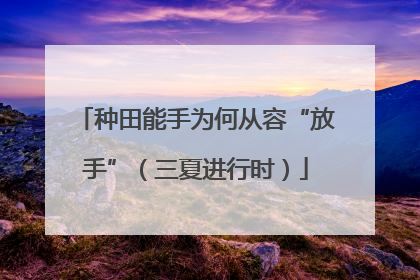 种田能手为何从容“放手”（三夏进行时）