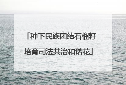 种下民族团结石榴籽 培育司法共治和谐花