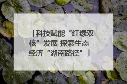 科技赋能“红绿双核”发展 探索生态经济“湖南路径”