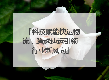 科技赋能快运物流，跨越速运引领行业新风向