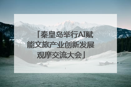 秦皇岛举行AI赋能文旅产业创新发展观摩交流大会