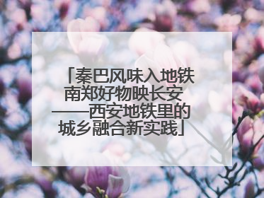 秦巴风味入地铁 南郑好物映长安——西安地铁里的城乡融合新实践