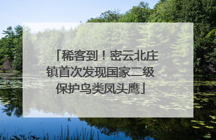 稀客到！密云北庄镇首次发现国家二级保护鸟类凤头鹰