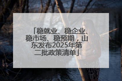 稳就业、稳企业、稳市场、稳预期，山东发布2025年第二批政策清单