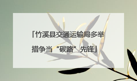竹溪县交通运输局多举措争当“碳路”先锋