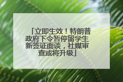 立即生效！特朗普政府下令暂停留学生新签证面谈，社媒审查或将升级