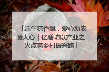 端午粽香飘，爱心助农暖人心｜亿膳坊以产业之火点亮乡村振兴路