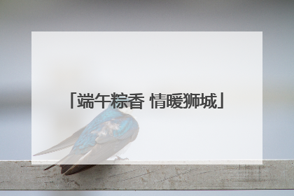 端午粽香 情暖狮城