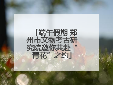 端午假期 郑州市文物考古研究院邀你共赴“青花”之约