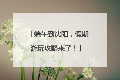 端午到沈阳，假期游玩攻略来了！
