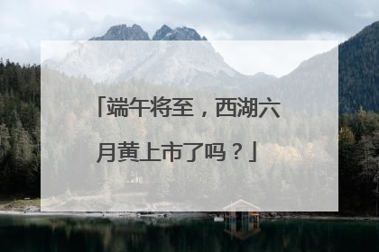 端午将至，西湖六月黄上市了吗？