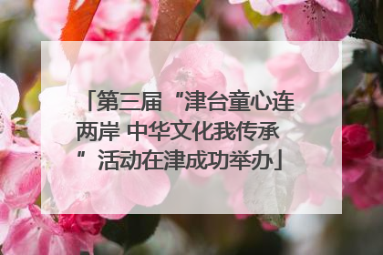第三届“津台童心连两岸 中华文化我传承”活动在津成功举办