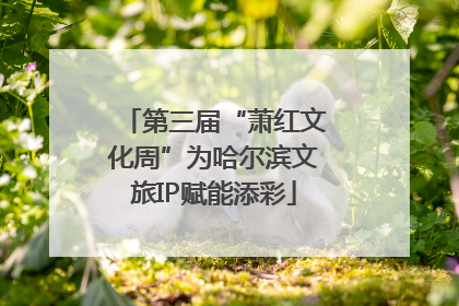 第三届“萧红文化周”为哈尔滨文旅IP赋能添彩