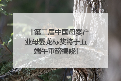 第二届中国母婴产业母婴龙标奖将于五端午重磅揭晓
