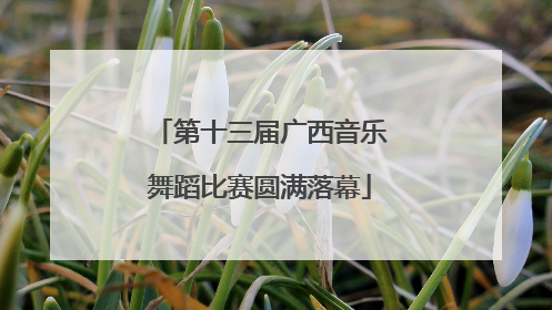 第十三届广西音乐舞蹈比赛圆满落幕