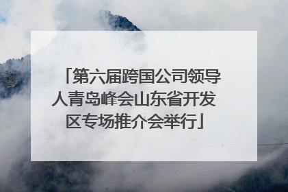 第六届跨国公司领导人青岛峰会山东省开发区专场推介会举行