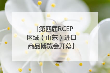 第四届RCEP区域（山东）进口商品博览会开幕