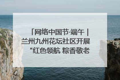 网络中国节·端午｜兰州九州花坛社区开展“红色领航 粽香敬老”端午主题活动