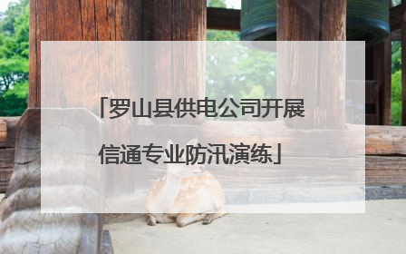 罗山县供电公司开展信通专业防汛演练