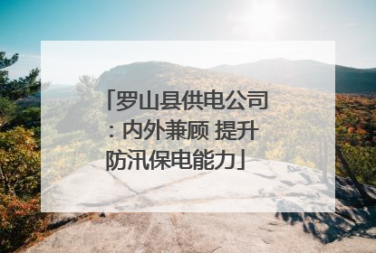 罗山县供电公司：内外兼顾 提升防汛保电能力