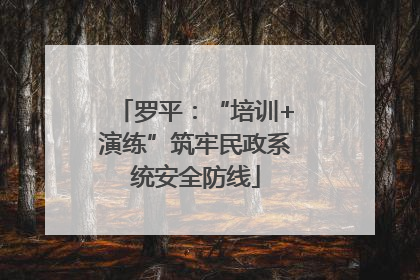 罗平：“培训+演练”筑牢民政系统安全防线