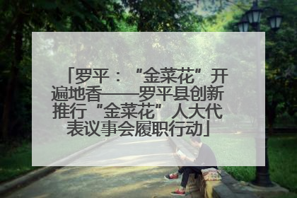 罗平：“金菜花”开遍地香——罗平县创新推行“金菜花”人大代表议事会履职行动