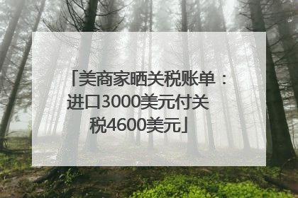 美商家晒关税账单：进口3000美元付关税4600美元
