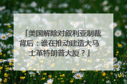 美国解除对叙利亚制裁背后：谁在推动建造大马士革特朗普大厦？